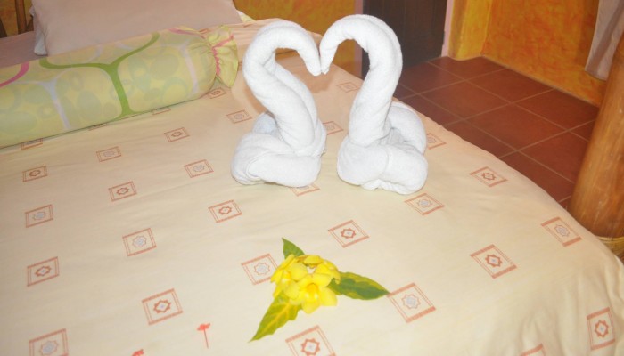 Premium rooms embelished with beautiful swan-like towels near Gato Island.