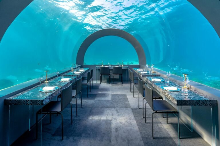 Discover luxury dining in an underwater restaurant offering a unique ocean view.